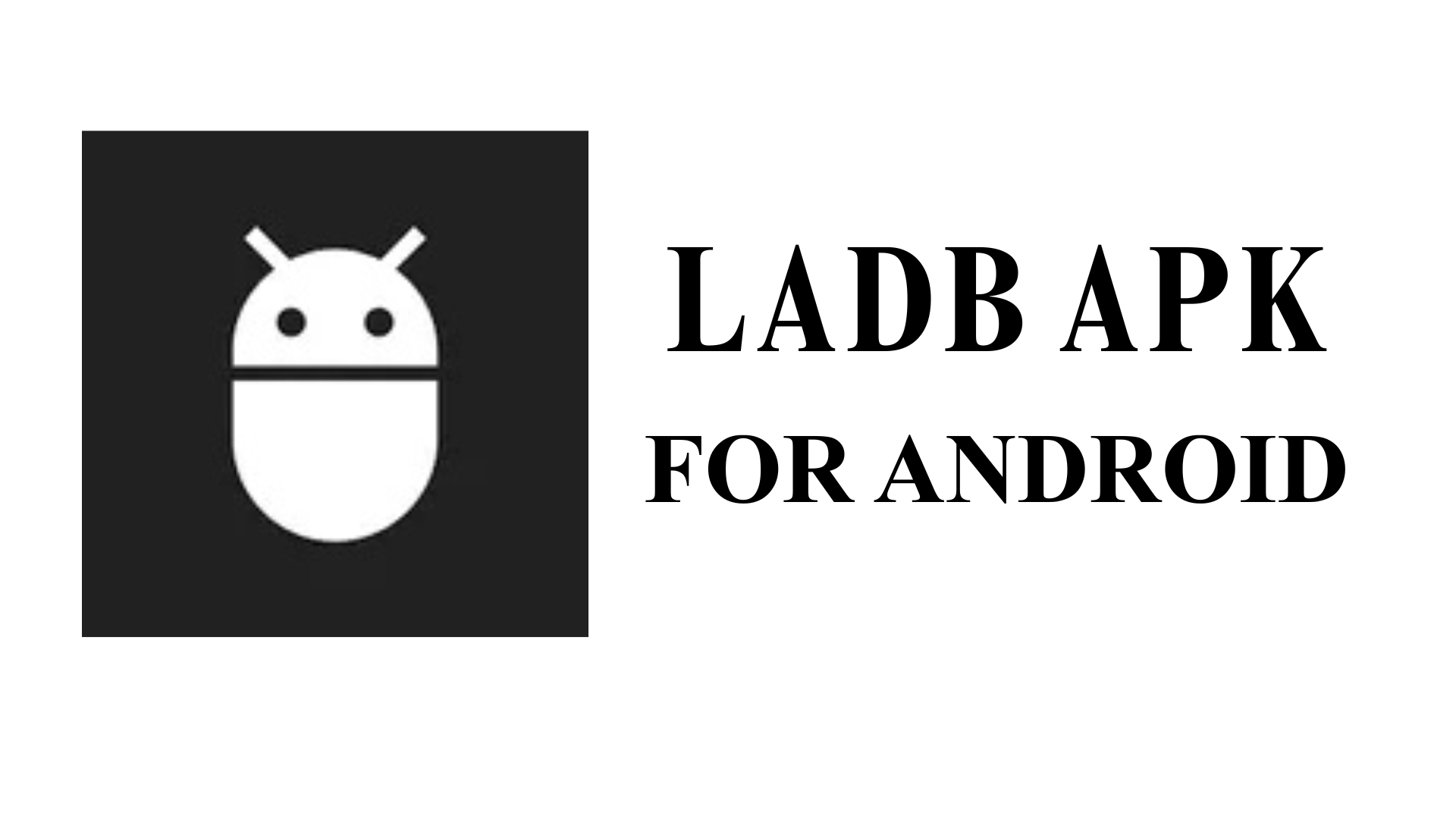 LADB APK v2.5.6