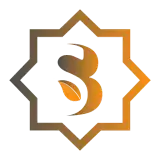 Sidra Chain APK v15